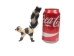 Raffia Striped Lemur: Small: Assorted - 1347-LE2S-AS (Y3LRM)