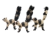 Raffia Striped Lemur: Small: Assorted - 1347-LE2S-AS (Y3LRM)