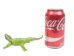 Raffia Lizard: Small: Assorted - 1347-LIS-AS (Y3L)