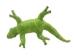 Raffia Lizard: Small: Assorted - 1347-LIS-AS (Y3L)