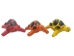 Raffia Turtle: Small: Assorted - 1347-TUS-AS (Y3LRP)