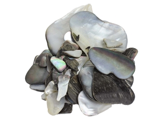 Black Lip Mother of Pearl Shell Pieces: Satin: Unsorted (1/4 lb) 