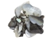 Black Lip Mother of Pearl Shell Pieces: Satin: Unsorted (1/4 lb) - 1353-TBSU-AS (Y1HRL)