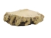 Mule Deer Antler Crown Button: 1.25" - 1.5" - 1354-C2-1.25-AS (Y2JC02)