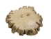 Mule Deer Antler Crown Button: 1.25" - 1.5" - 1354-C2-1.25-AS (Y2JC02)