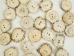 Mule Deer Antler Crown Button: 1.25" - 1.5" - 1354-C2-1.25-AS (Y2JC02)