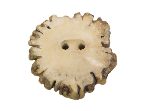 Mule Deer Antler Crown Button: 1.25" - 1.5" 