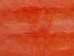 Long Hair Dyed #1 Rabbit Plate: Orange - 140-1L-012 (Y2DRP)