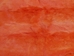 Long Hair Dyed #1 Rabbit Plate: Orange - 140-1L-012 (Y2D)