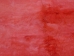 Long Hair Dyed #1 Rabbit Plate: Fluorescent Red - 140-1L-501 (Y2DRP)