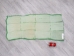 Long Hair Dyed #1 Rabbit Plate: Fluorescent Green - 140-1L-504 (Y2DRP)