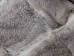#3 Rabbit Plate: Chinchilla: Assorted - 140-3L-CH-AS (Y2DRP)