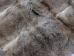 #3 Rabbit Plate: Heather: Assorted - 140-3L-HE-AS (Y2D)(Y2NRA)