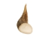 Drilled Deer Antler Tip: 3.5" to 5" - 158-L-D (Y1XC02)