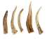 Drilled Deer Antler Tip: 3.5" to 5" - 158-L-D (Y1XC02)