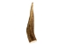 Drilled Deer Antler Tip: 3.5" to 5" - 158-L-D (Y1XC02)
