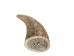 Deer Antler Tip: 3.5" to 5" - 158-L-U (Y1JC09)