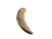 Deer Antler Tip: 3.5" to 5" - 158-L-U (Y1JC09)