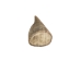 Drilled Deer Antler Tip: 2.5" to 3.5" - 158-M-D (Y1XC02)