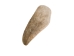Drilled Deer Antler Tip: 2.5" to 3.5" - 158-M-D (Y1XC02)