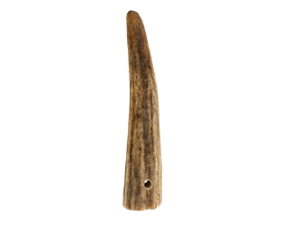 Drilled Deer Antler Tip: 2.5" to 3.5" 