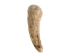 Deer Antler Tip: 2.5" to 3.5" - 158-M-U (Y1JC08)