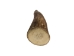 Drilled Deer Antler Tip: 1.5" to 2.5" - 158-S-D (Y1XC02)
