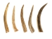 Drilled Deer Antler Tip: 5" to 6" - 158-XL-D (Y1XC02)
