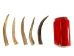 Drilled Deer Antler Tip: 5" to 6" - 158-XL-D (Y1XC02)