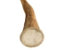 Deer Antler Tip: 5" to 6" - 158-XL-U (Y1JC08)
