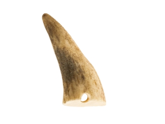 Drilled Deer Antler Tip: <1.5" 