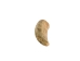 Deer Antler Tip: <1.5" - 158-XS-U (Y1JC09)