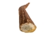 Drilled Deer Antler Tip: 6"+ - 158-XXL-D (Y1XC02)