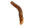 Drilled Deer Antler Tip: 6"+ - 158-XXL-D (Y1XC02)