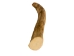 Deer Antler Tip: 6"+ - 158-XXL-U (Y1XC13)