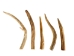 Deer Antler Tip: 6"+ - 158-XXL-U (Y1XC13)
