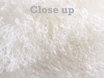 Tibet Lamb Plate: Natural White (Brightened) 4" Tight Curl 