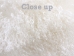 Tibet Lamb Plate: Natural White (Brightened) 4" Tight Curl - 167-A05S (Y2G)