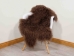 Tibet Lamb Skin: Chocolate Brown - 167-S-A080 (Y2GRL)