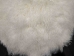 Tibet Lamb Rug: ~3 ft: Round: Bleached White - 1677-A049-3r (Y2NRB)