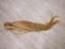 Dried Horse Tail: Blonde & Red - 18-06-BLR