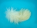 Tanuki Tail: White: 8-9" - 18-14W-0809 (Y2KRK)
