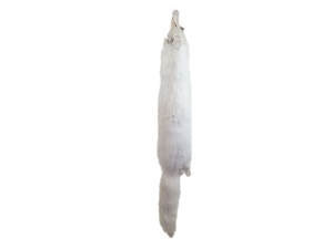 Select Arctic Fox Skin: Assorted 