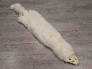 Shadow Fox Skin: Fashion Quality: L: Assorted white shadow fox skins, polar fox skins