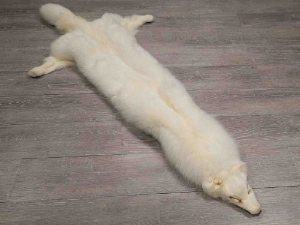Shadow Fox Skin: Fashion Quality: XL: Assorted white shadow fox skins, polar fox skins