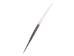 African Porcupine Quill: B-Grade Thick: Small (3"-5") - 184-02B1S (F9)