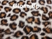 Printed Rabbit Skin: Leopard 2 Pattern - 188-P17D (Y2ERK)