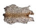 Printed Rabbit Skin: Cheetah 2 Pattern - 188-P17G (Y2ERK)