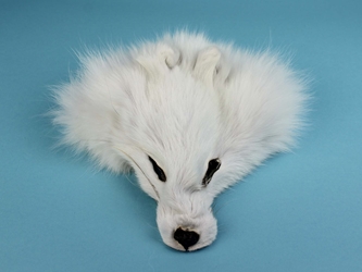 White Arctic Fox Face 