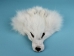 White Arctic Fox Face - 19-04-WA (Y3L)